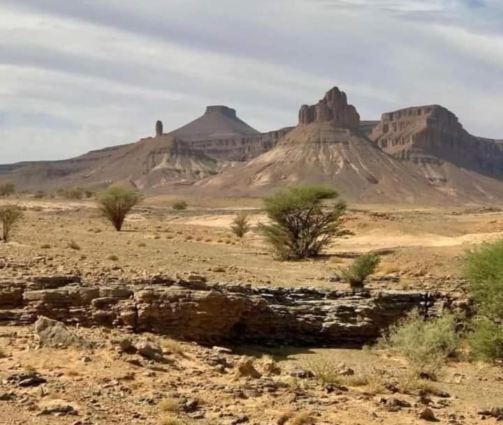 Riad Assia Foum Zguid المظهر الخارجي الصورة